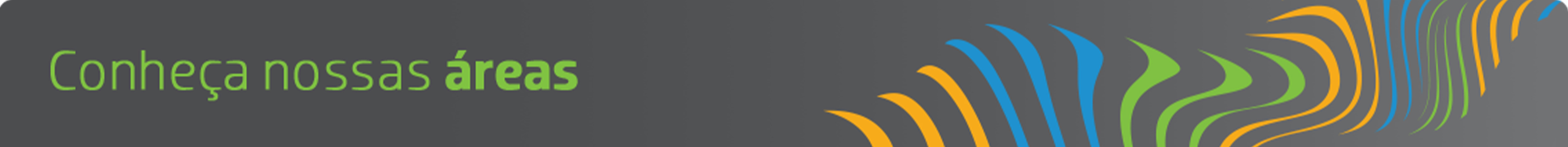 cabeçalho com a frase: conheça nossas áreas