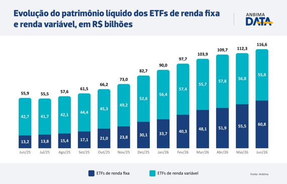 Evol. Patrimônio ETFs