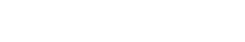 somos 384 funcionários